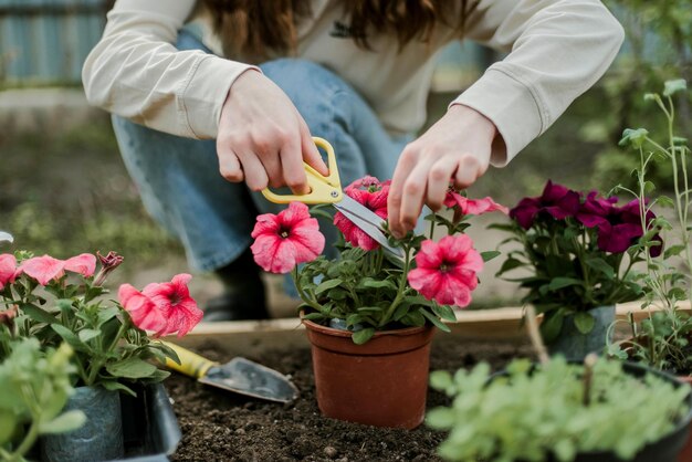 花を摘む女性の真ん中