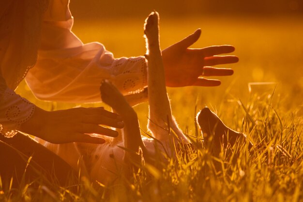 midsection of woman playing with dog on field during sunset