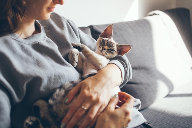 Секция женщины с кошкой, отдыхающей на диване дома