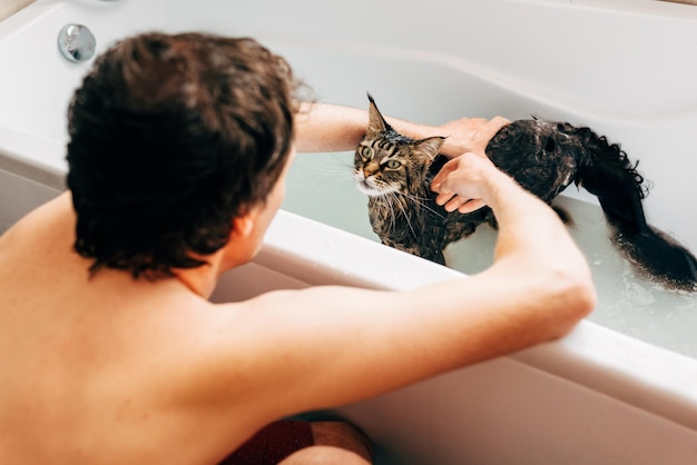 Foto sezione centrale di una donna con un gatto