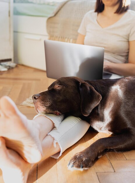 Photo midsection of woman with dog at home