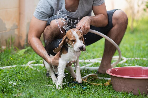 Midsection of woman with dog sitting in grass