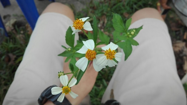 Foto sezione centrale di una donna con fiori bianchi