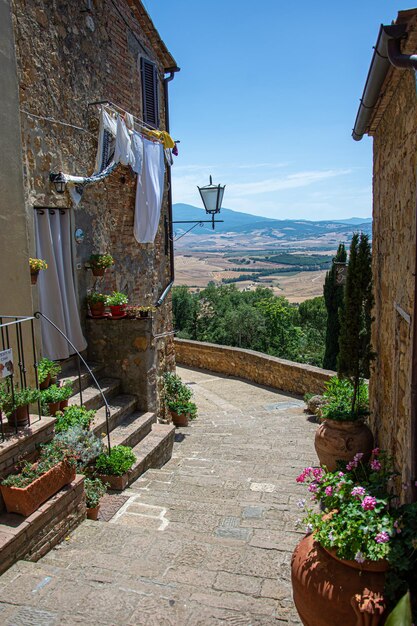 Foto un sogno di mezza estate