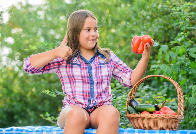 Mijn favoriete voedsel oogst vitamine lente markttuin gelukkige kleine boer herfst oogst gezond voedsel voor kinderen klein meisje groente in mand Alleen natuurlijke jongen op zomerboerderij Biologisch voedsel