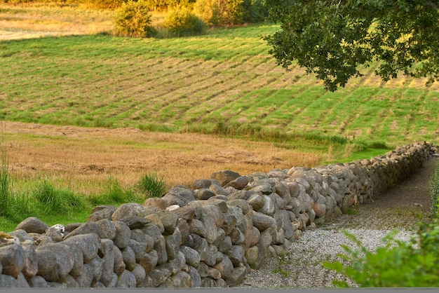 Mijn land Beelden uit het Koninkrijk Denemarken