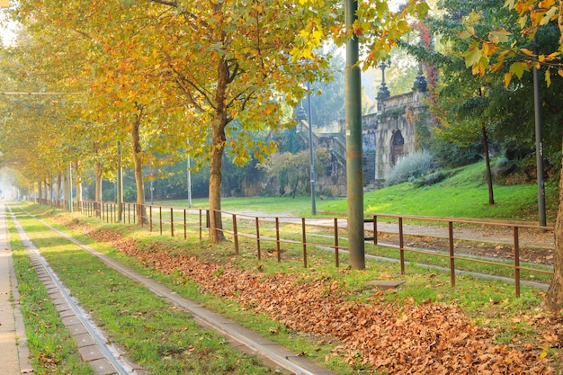 Milan tramway in perspective during autumn season. Traditional transportation mode. Urban panorama.