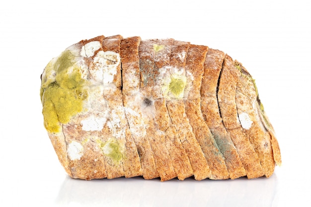 Photo mildew on a slice of bread. old loaf of bread, covered with mildew isolated on white background