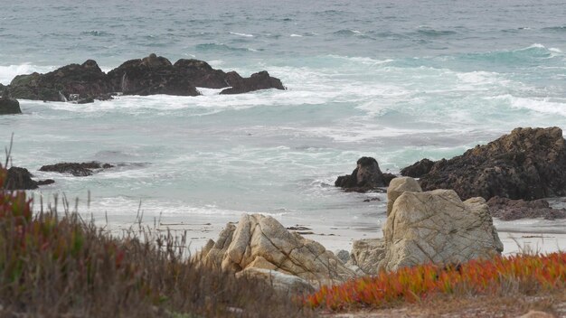 マイルドライブモントレーカリフォルニア岩だらけのゴツゴツした海の海岸の波多肉植物