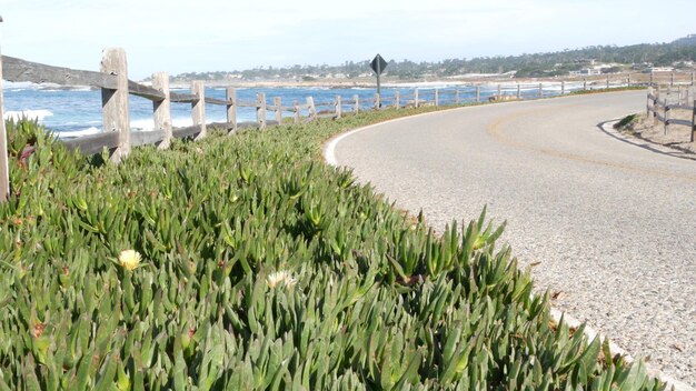 Mile drive schilderachtige weg monterey californië oceaangolven vetplanten