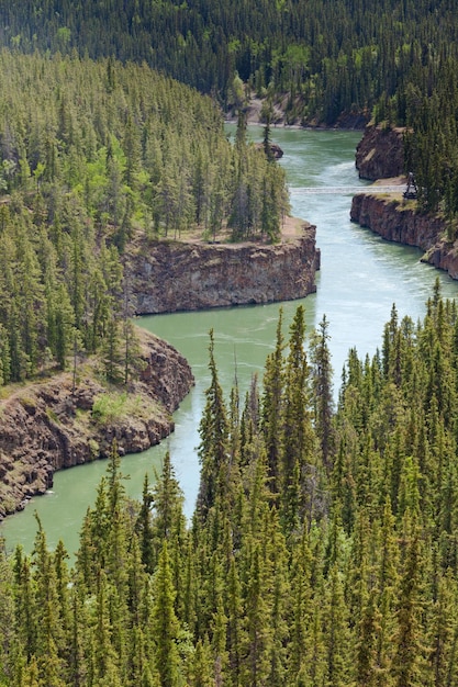 Foto miles canyon del fiume yukon vicino a whitehorse canada