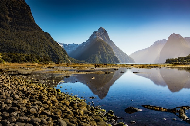 Milford sound, parco nazionale di fiordland, isola del sud, nuova zelanda