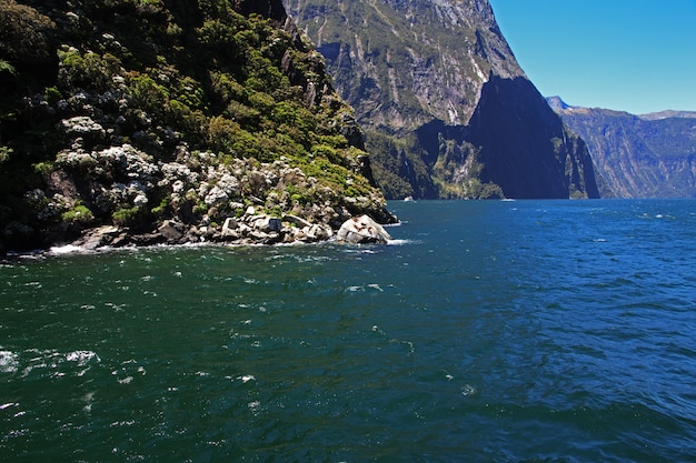 Milford Sound Fjord, New Zealand