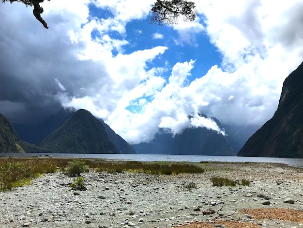 Photo milford sound a view of the mountains from the beach