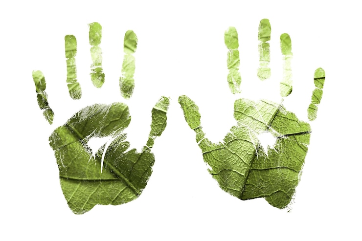 Foto milieu zorg concept. handafdruk als groene bladtextuur. dag van de aarde en ecologie.