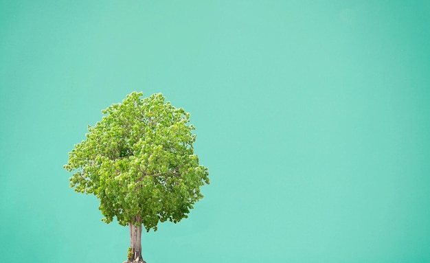 Milieuconcept bomen op een groene achtergrond