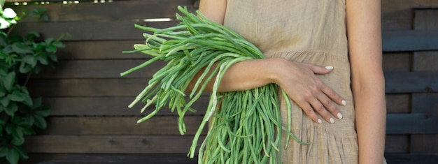 Milieuvriendelijk concept met biologische boerderijgroenten in de handen van een meisje in een linnen jurk van natuurlijke stof Verse rauwe bloemkool sperziebonen courgette maïsbieten Boerderij gemeten leven in de natuur