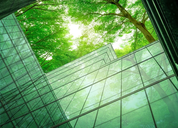 Milieuvriendelijk gebouw in de moderne stad Duurzaam kantoorgebouw van glas met boom voor het verminderen van