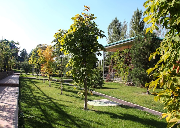 Milieuvriendelijk groen park buiten de stad