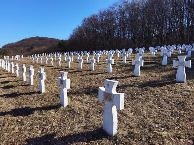 第1ガリツィア師団のウクライナ兵の軍事墓地