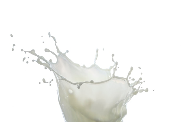 Milk drop and splashes isolated on white background