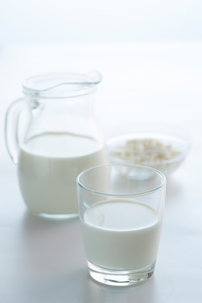 Latte in una brocca e ricotta in una ciotola su uno sfondo chiaro con spazio per le copie