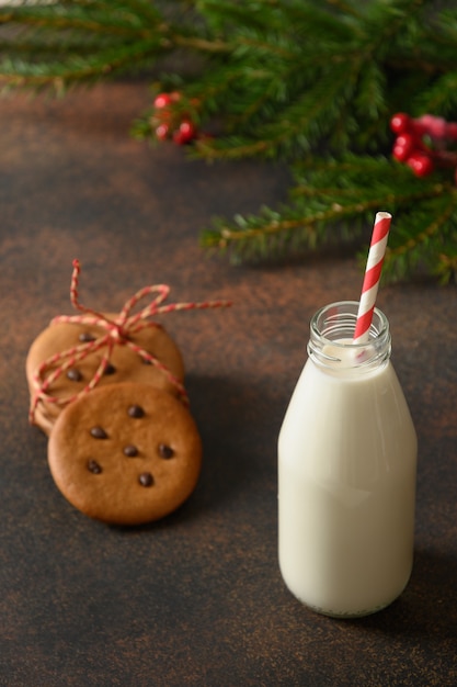 Milk for Santa Clause and homemade gingerbread cookies