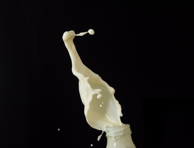 milk splash on black background, white liquid milk isolated on black background,