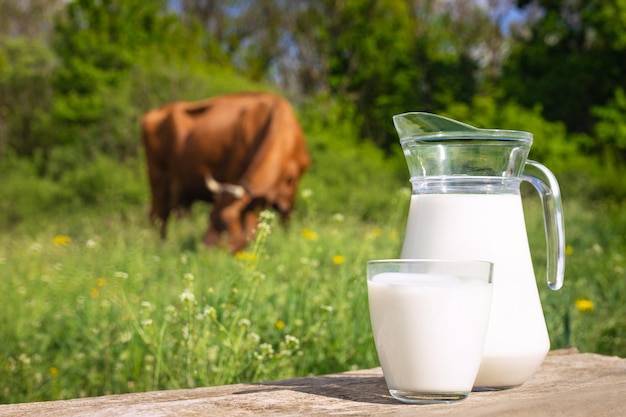 milk with cow on the background