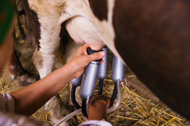 Milking machine close-up. Milk production on a home farm. Replacement of manual labor with automatic machines.