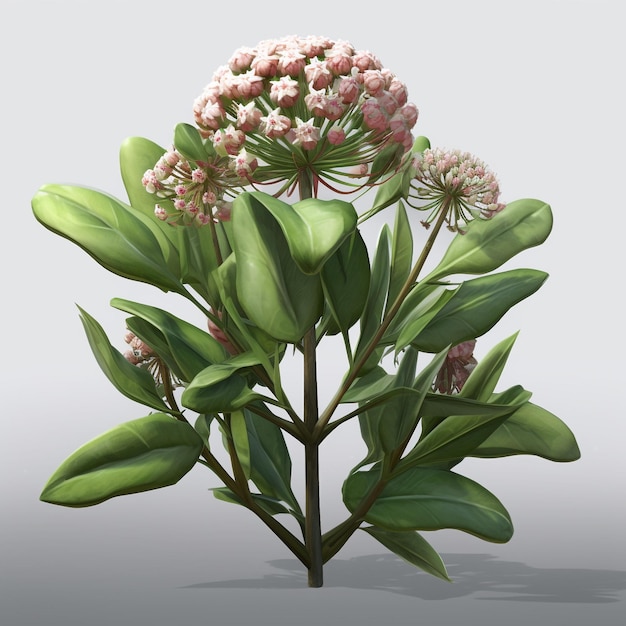 milkweed game asset top down centered plain background