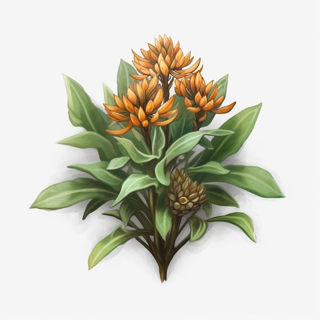 milkweed game asset top down centered plain background