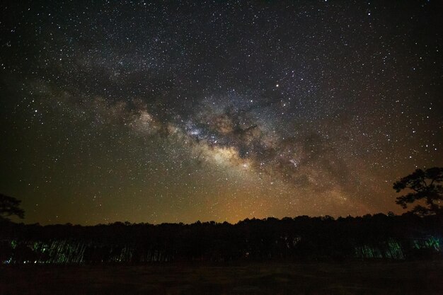 天の川と雲のある木のシルエット穀物のある長時間露光写真