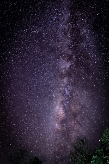 Photo milky way. beautiful summer night sky with stars. background.