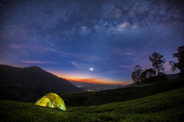 The Milky Way and camping in the tea farm in Cameron highland