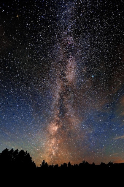 Milky Way over forest in Stowe, Vermont.