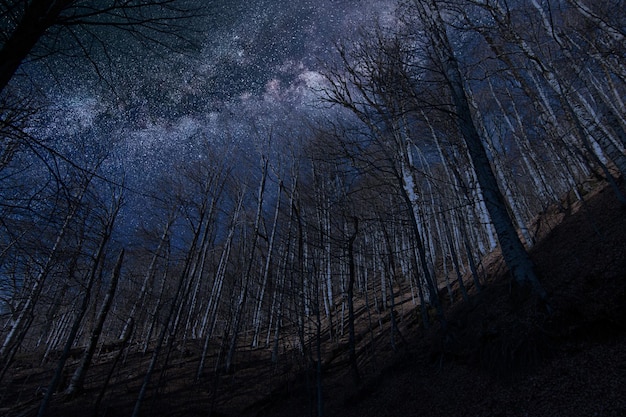 天の川銀河の背景、宇宙の背景