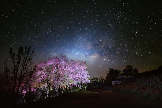 クン ワン チェンマイ タイの天の川銀河と桜の道