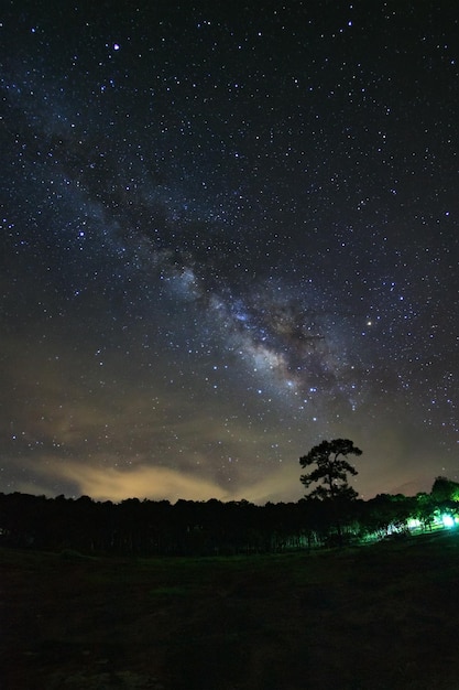 Photo milky way galaxy and silhouette of tree with cloud at phu hin rong kla national parkphitsanulok thailand