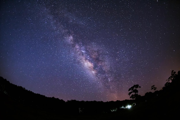 Milky Way Galaxy and Silhouette of Tree with cloudLong exposure photographWith grain