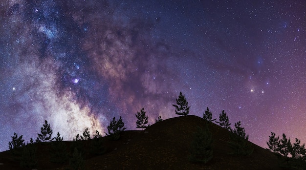 Milky way on mountain with pine trees