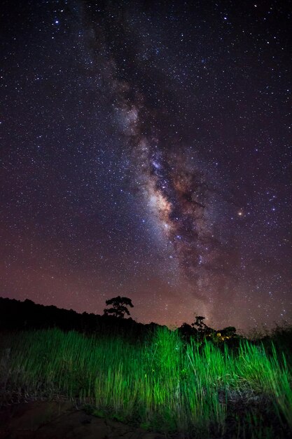 Milky Way at Phu Hin Rong Kla National ParkPhitsanulok ThailandLong exposure photograph with grain