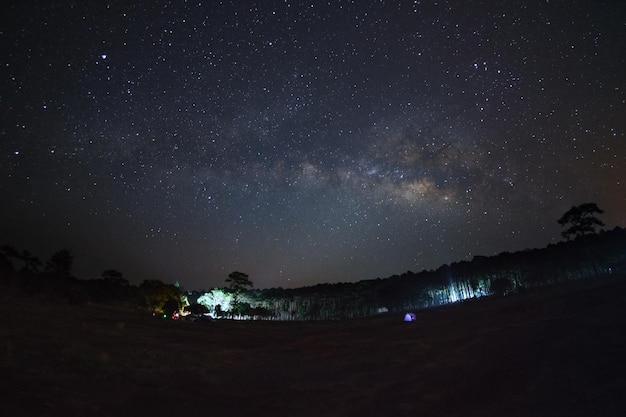 Phu Hin Rong Kla National Park의 은하수와 나무 실루엣Phitsanulok Thailand 곡물이 있는 긴 노출 사진