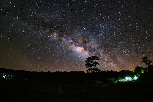 Milky Way and silhouette of tree at Phu Hin Rong Kla National ParkPhitsanulok Thailand