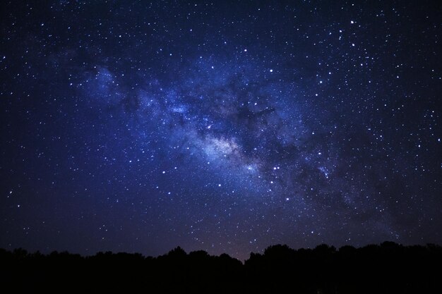 Milky Way and silhouette of tree at Phu Hin Rong Kla National ParkPhitsanulok Thailand