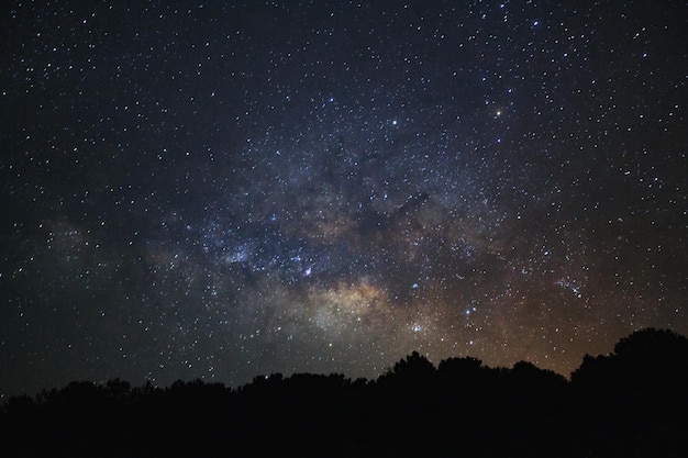 Milky Way and silhouette of tree at Phu Hin Rong Kla National ParkPhitsanulok Thailand