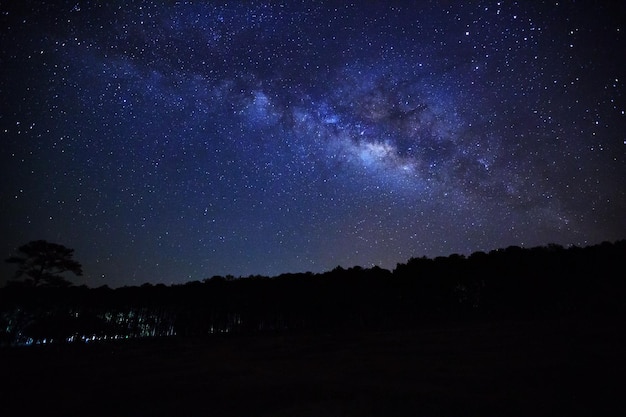 Milky Way and silhouette of tree at Phu Hin Rong Kla National ParkPhitsanulok Thailand