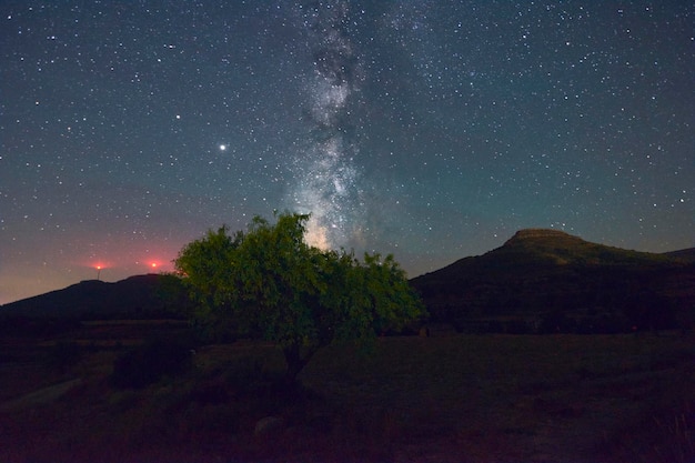 Milky way above a tree night photography long exposure