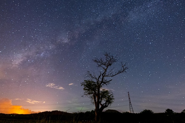 milky way  with tree