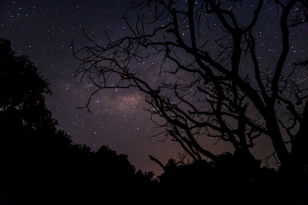 Milkyway Sky Star-sterrenbeeld